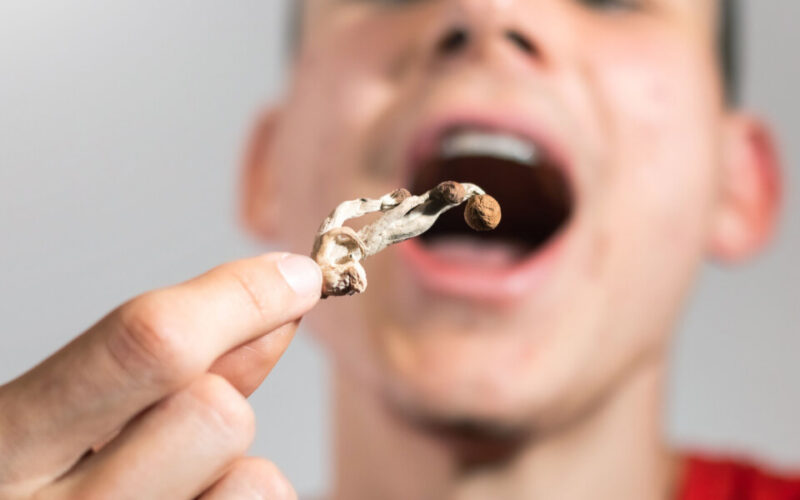 how long does shrooms stay in your system