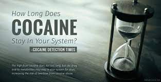 How Long Does Cocaine Last in Your System?